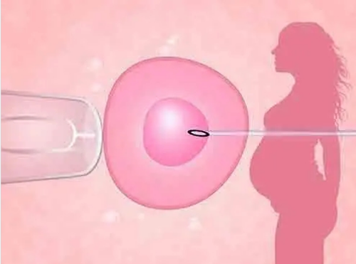 深圳可以选男女的试管医院，深圳试管私立医院有哪几家