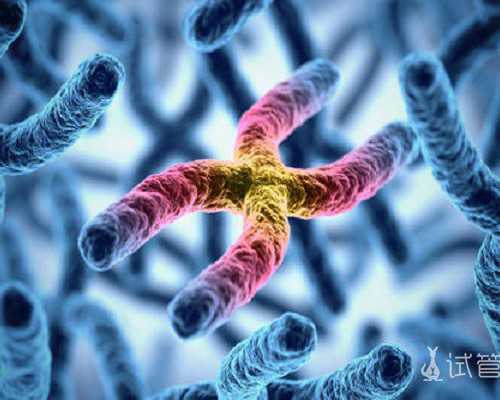 深圳代孕母亲_深圳代孕微信群_深圳代孕中介怎么样