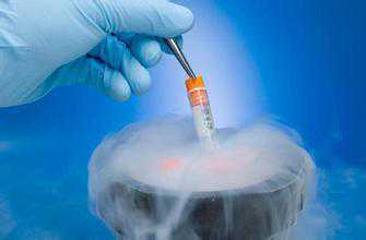 试管婴儿取卵后，冷冻胚胎可以冻多久